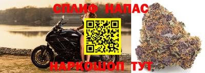 трава Краснознаменск