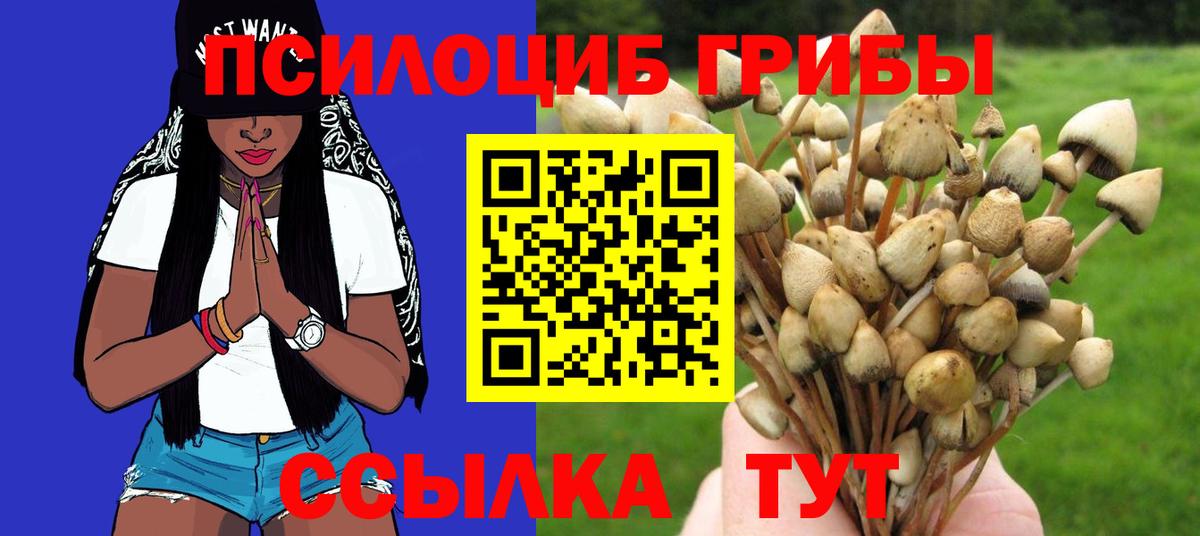 Галлюциногенные грибы мицелий  Галлюциногенные грибы Psilocybine cubensis  Вход с VPN  Кириши 